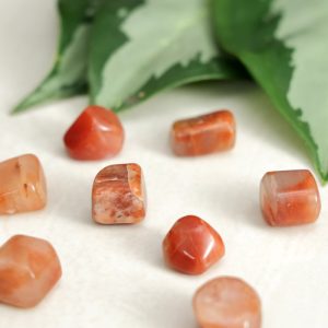 CARNELIAN